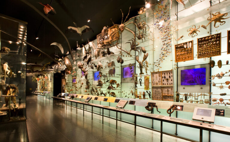 CityPass New York C3®