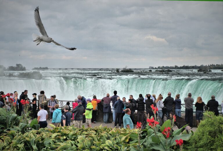 Tour Cascate del Niagara da New York in Italiano: 2 Giorni