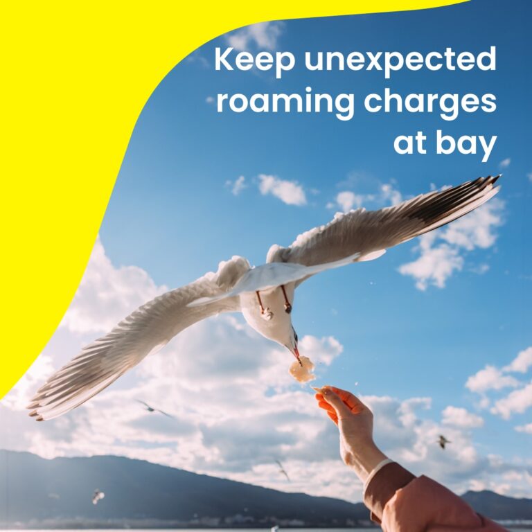 Saily Esim Coupon Code: for NY and International Travel